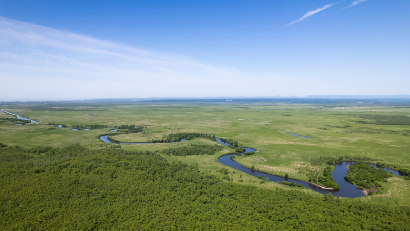 【2027年・国立公園指定40周年】日本最大の絶景「釧路湿原」を釧路町から遊び尽くす！大自然の魅力完全ガイド